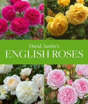 David Austin s English Roses Online