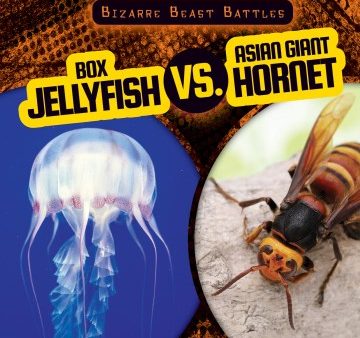 Box Jellyfish Vs. Asian Giant Hornet Supply