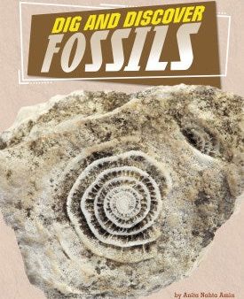 Dig and Discover Fossils For Cheap