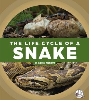 The Life Cycle of a Snake Cheap