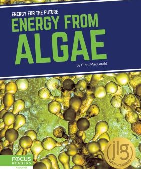 Energy from Algae Hot on Sale