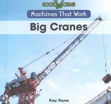 Big Cranes For Discount