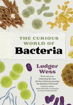 The Curious World of Bacteria Online Hot Sale