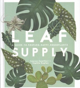 Leaf Supply For Discount