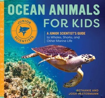 Ocean Animals for Kids Online now