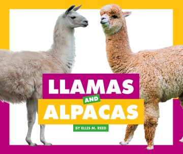 Llamas and Alpacas For Discount