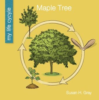 Maple Tree Online