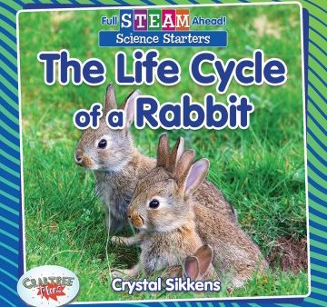 The Life Cycle of a Rabbit Supply