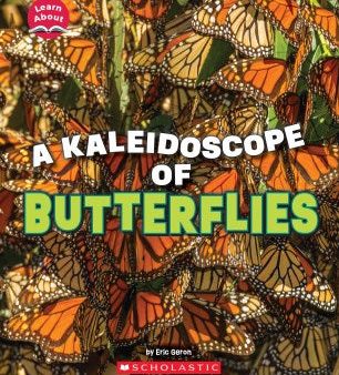 A Kaleidoscope of Butterflies Hot on Sale