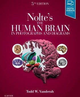 Nolte s the Human Brain in Photographs and Diagrams Supply