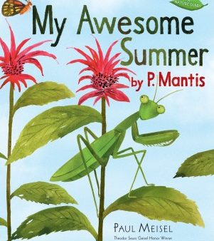 My Awesome Summer by P. Mantis Cheap