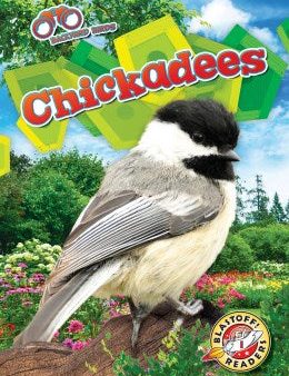 Chickadees Hot on Sale